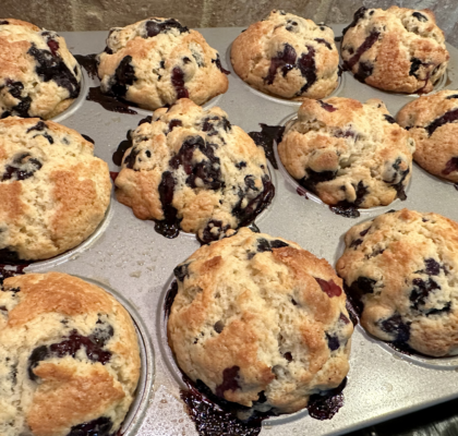 Blueberry Muffins