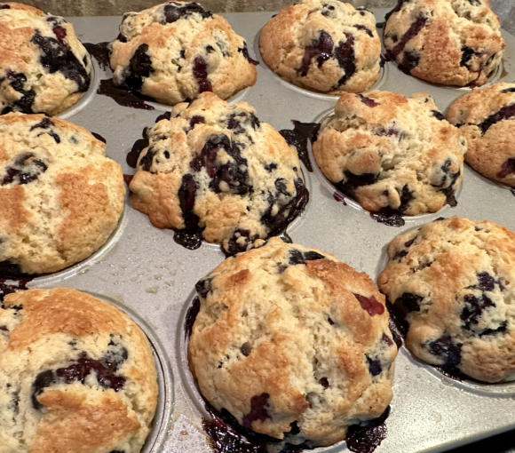 Blueberry Muffins