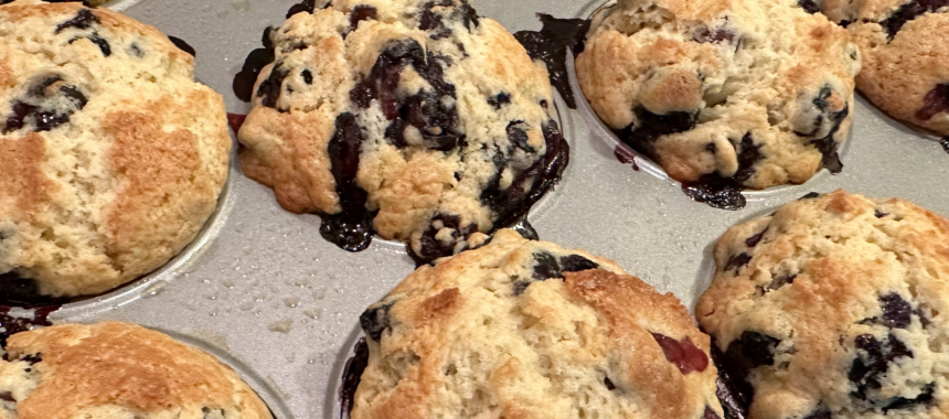 Blueberry Muffins: The Ted Kord Edition